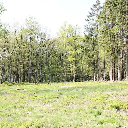 Tatil Evi A L Oree Du Waud Malmedy